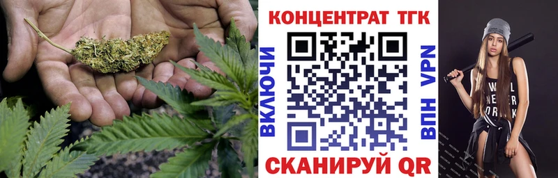 мориарти телеграм  Петрозаводск  ТГК концентрат 