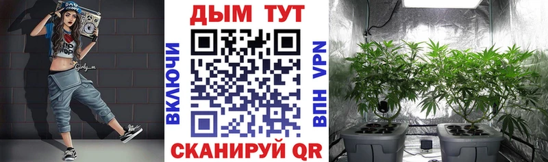 Каннабис Ganja Петрозаводск